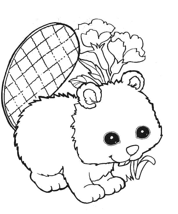 Free printable Beaver coloring page #207216 from Animals collection Free printable Beaver coloring page #207216 from Animals collection