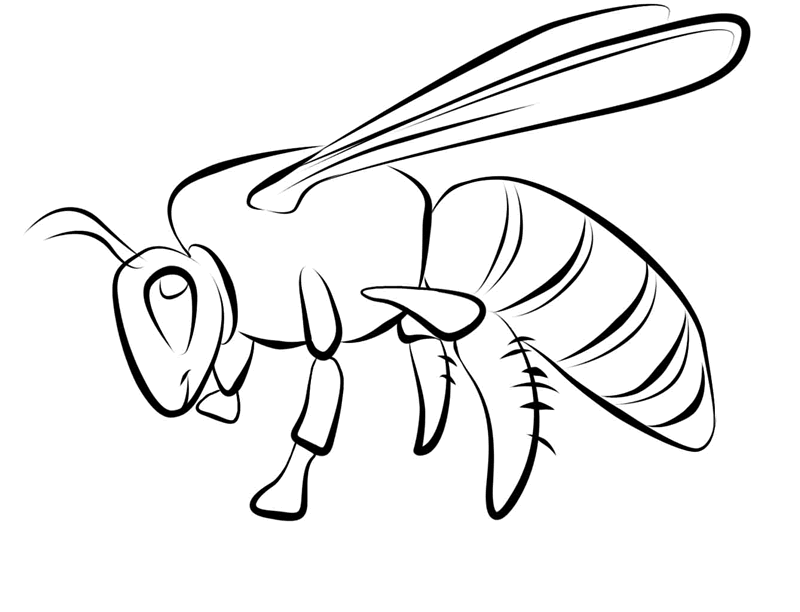 Coloring page: Bee (Animals) #101 - Free Printable Coloring Pages
