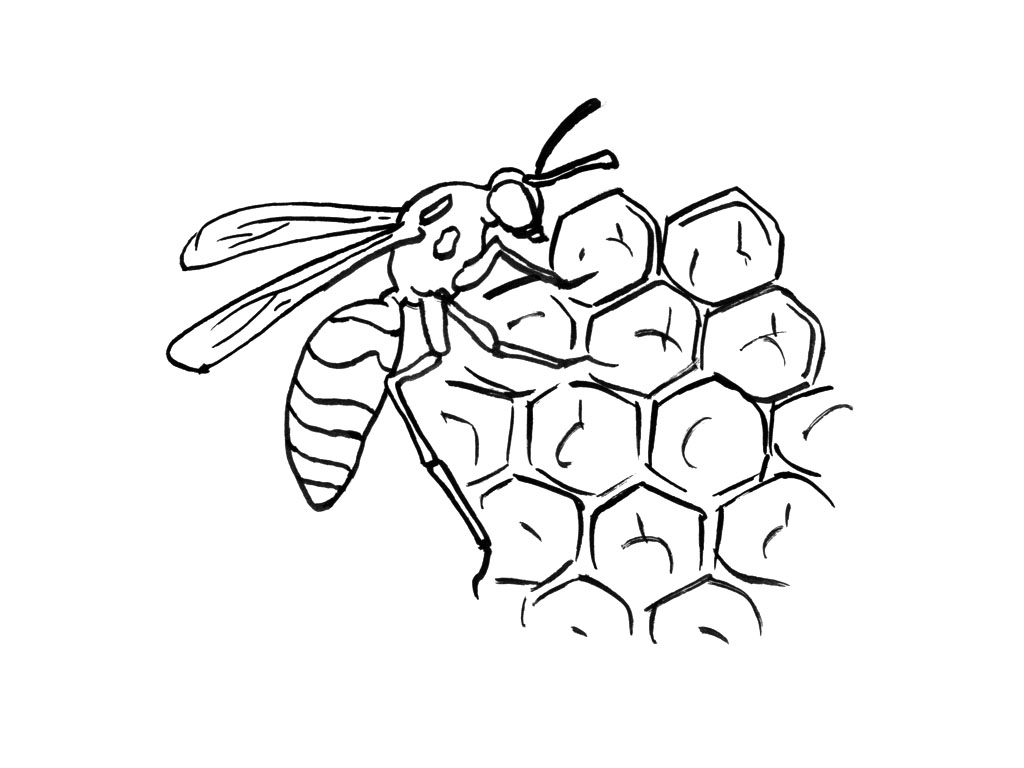 Coloring page: Bee (Animals) #142 - Free Printable Coloring Pages