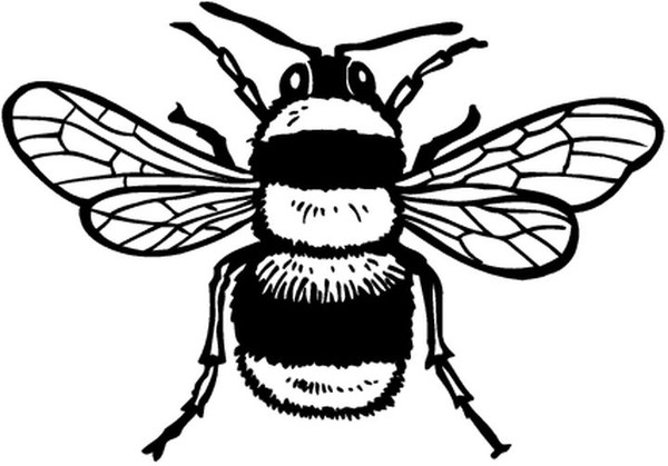 Coloring page: Bee (Animals) #97 - Free Printable Coloring Pages