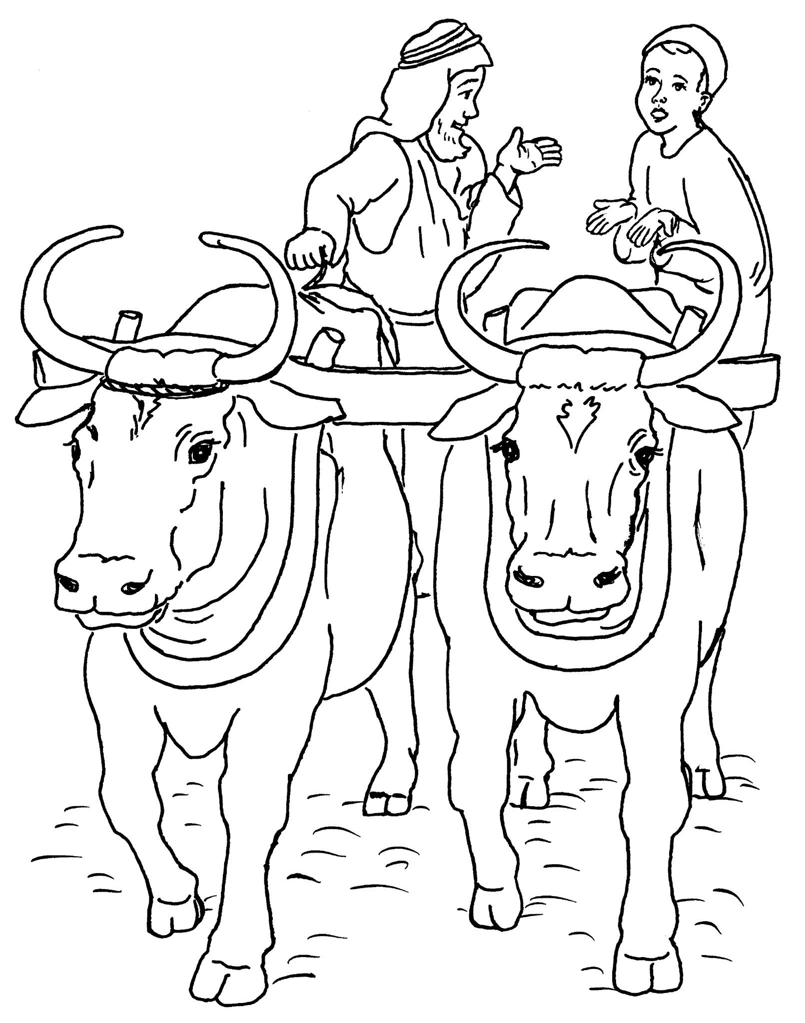 Coloring page: Beef (Animals) #1356 - Free Printable Coloring Pages