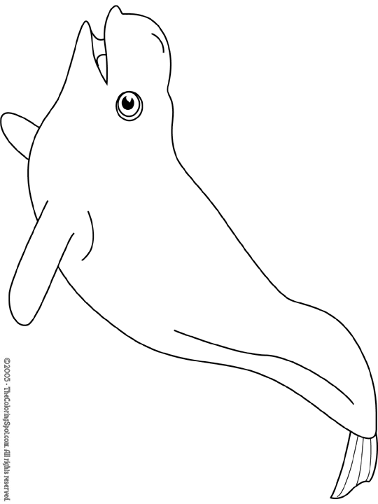 Coloring page: Beluga (Animals) #1064 - Free Printable Coloring Pages