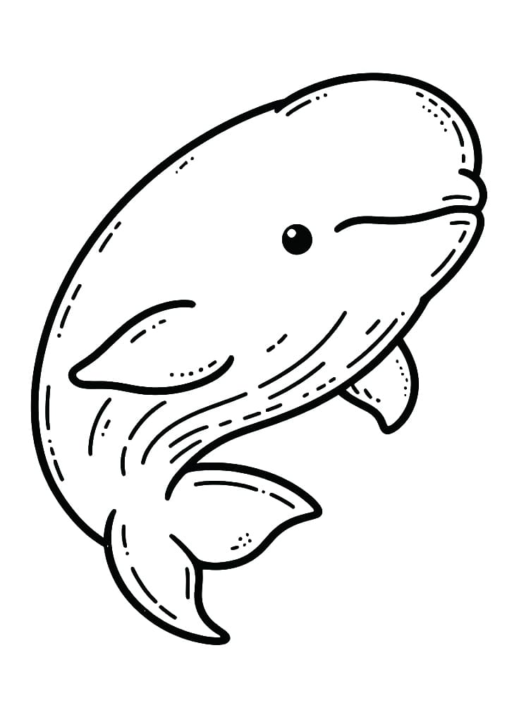 Free printable Beluga coloring page #210345 from Animals collection