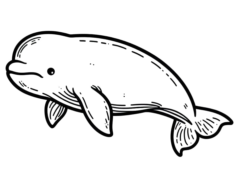 Free printable Beluga coloring page #210347 from Animals collection