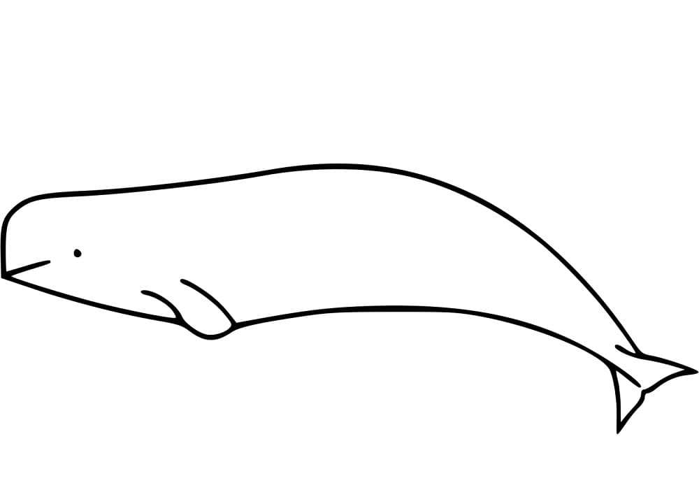 Free printable Beluga coloring page #210351 from Animals collection