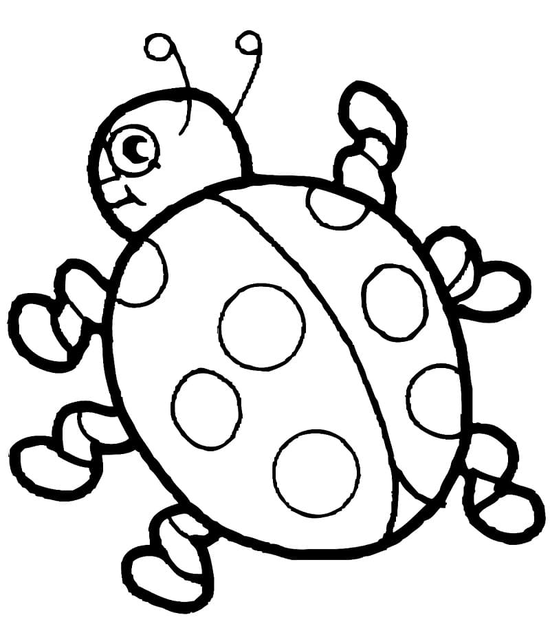 Free printable Bettle coloring page #177686 from Animals collection