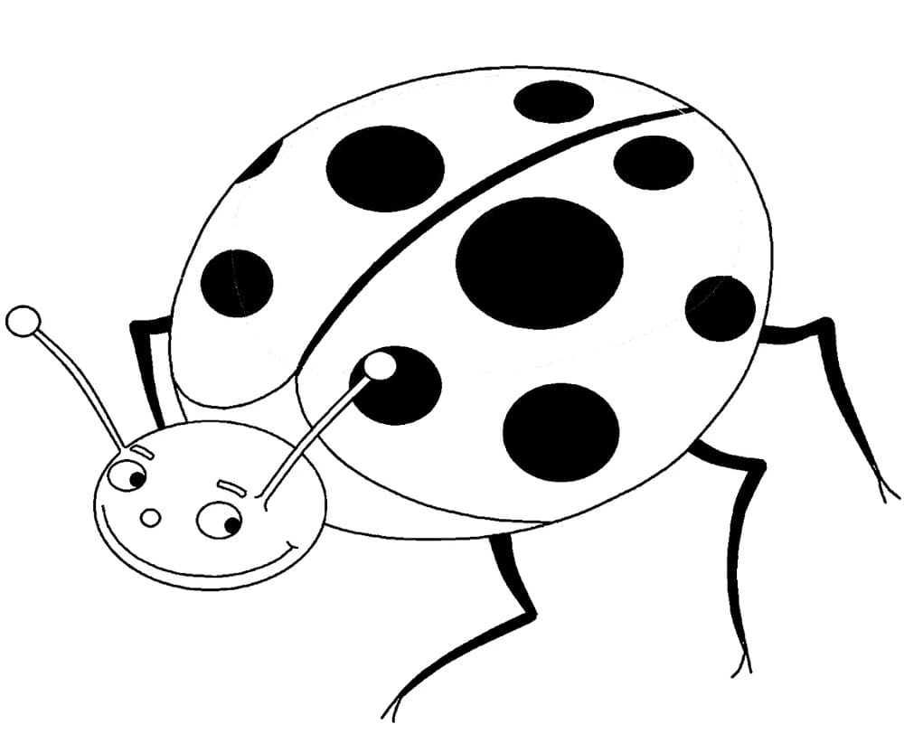 Free printable Bettle coloring page #177692 from Animals collection Free printable Bettle coloring page #177692 from Animals collection