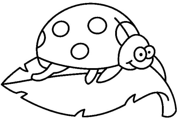 Free printable Bettle coloring page #177701 from Animals collection