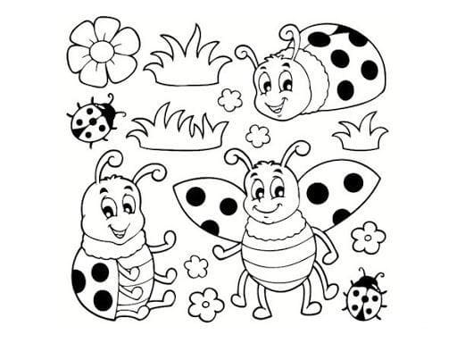 Free printable Bettle coloring page #177708 from Animals collection