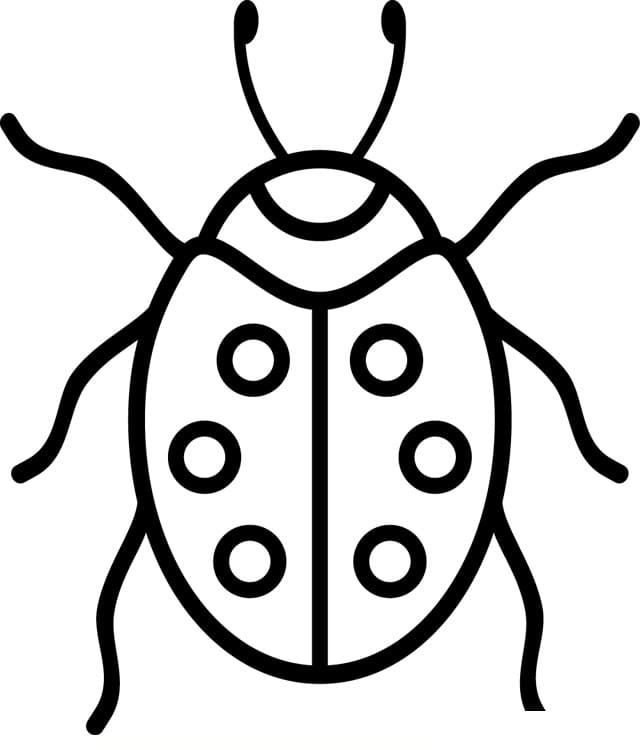 Free printable Bettle coloring page #177712 from Animals collection