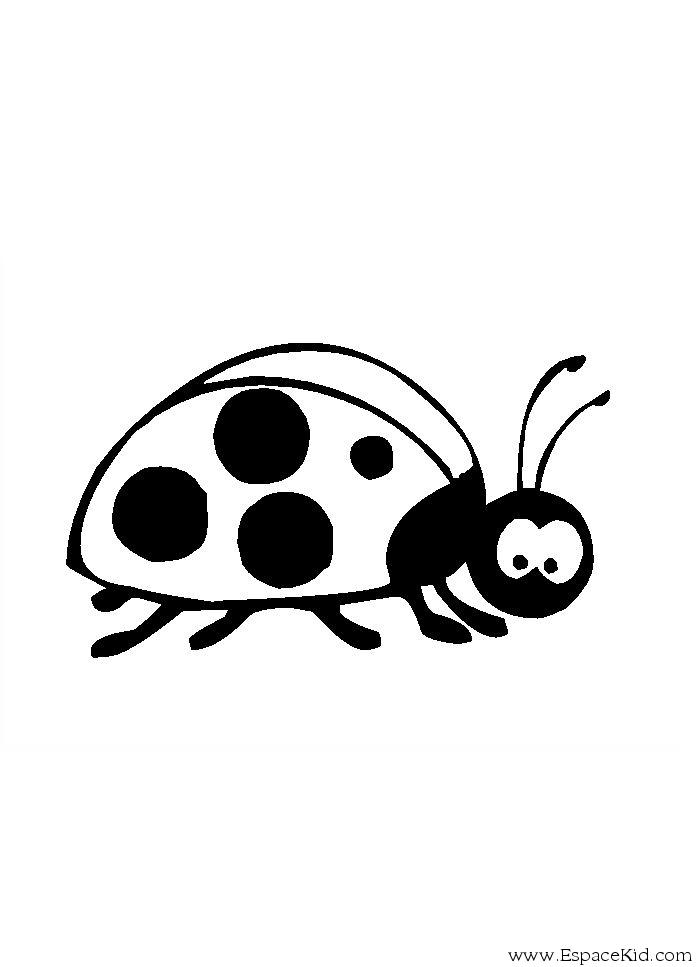 Coloring page: Bettle (Animals) #3393 - Free Printable Coloring Pages