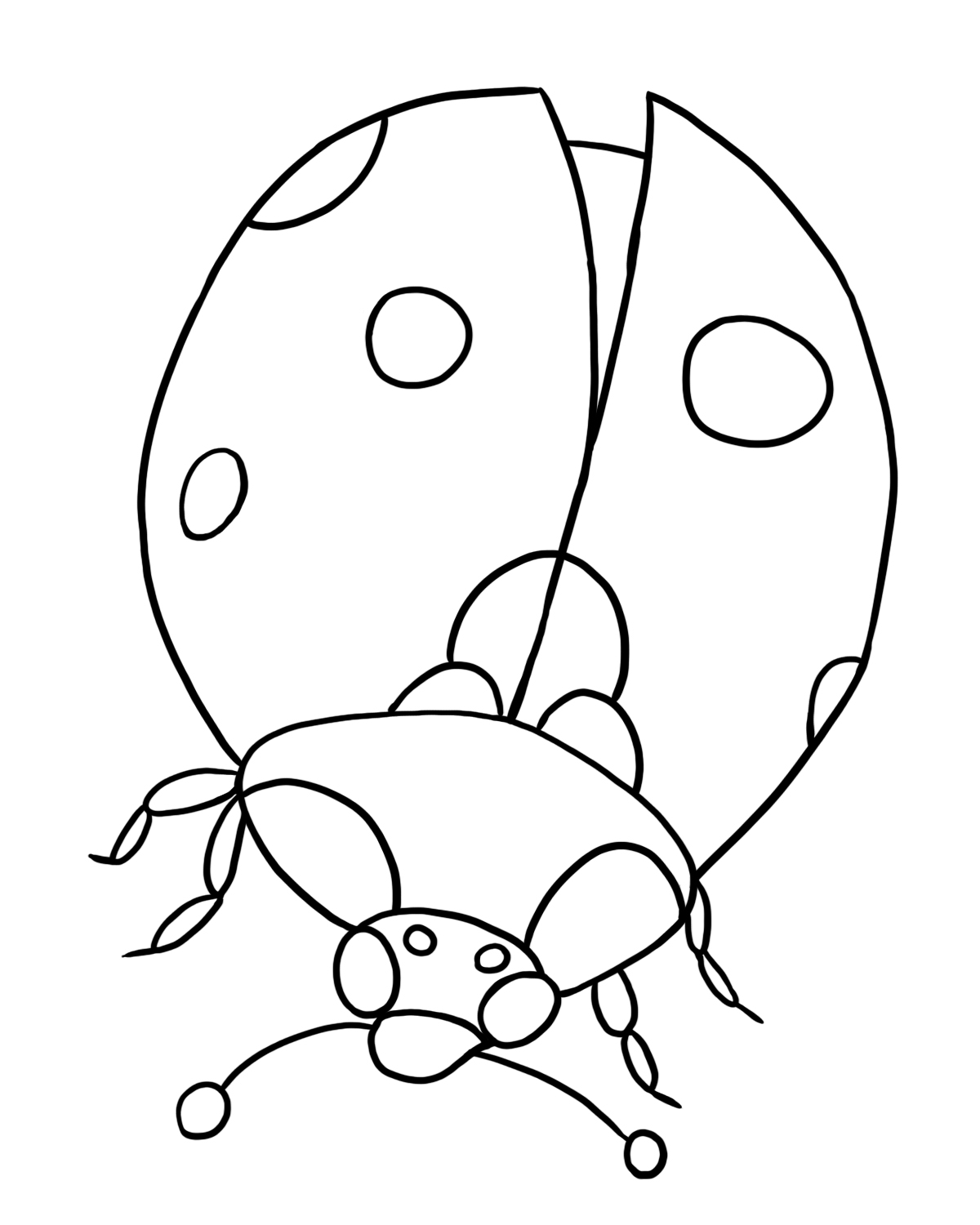 Coloring page: Bettle (Animals) #3397 - Free Printable Coloring Pages