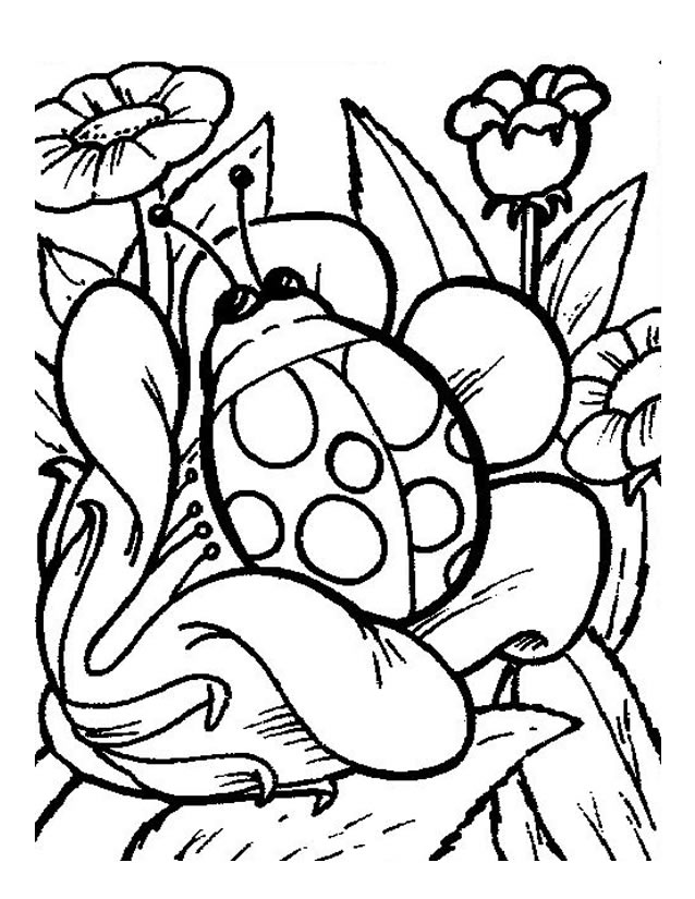Coloring page: Bettle (Animals) #3410 - Free Printable Coloring Pages