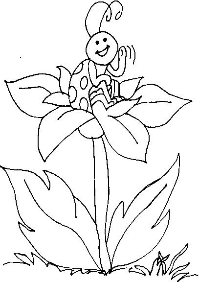 Coloring page: Bettle (Animals) #3420 - Free Printable Coloring Pages