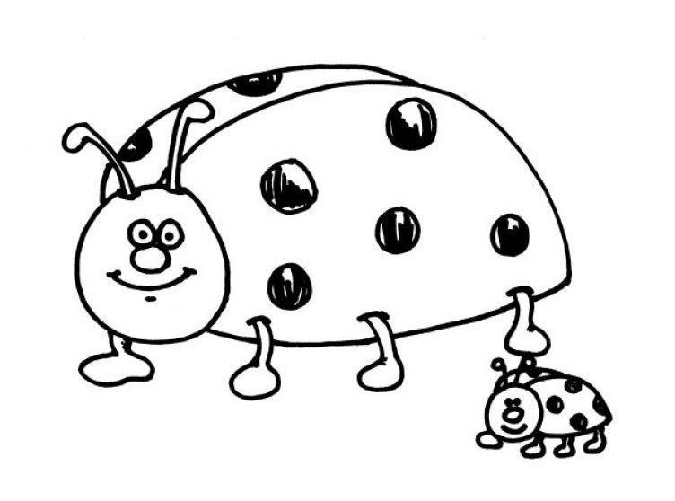 Coloring page: Bettle (Animals) #3421 - Free Printable Coloring Pages