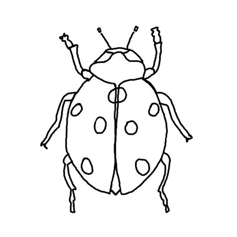 Coloring page: Bettle (Animals) #3425 - Printable coloring pages