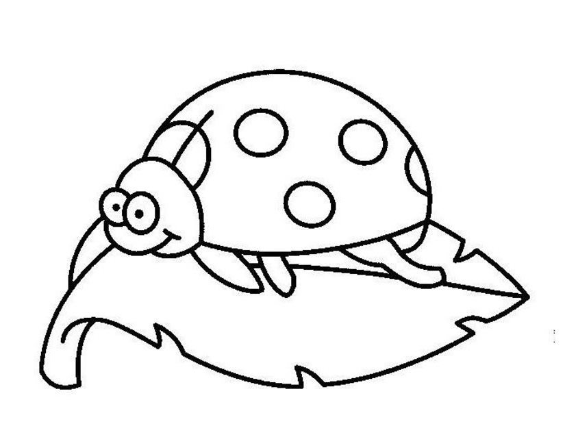Coloring page: Bettle (Animals) #3447 - Printable coloring pages