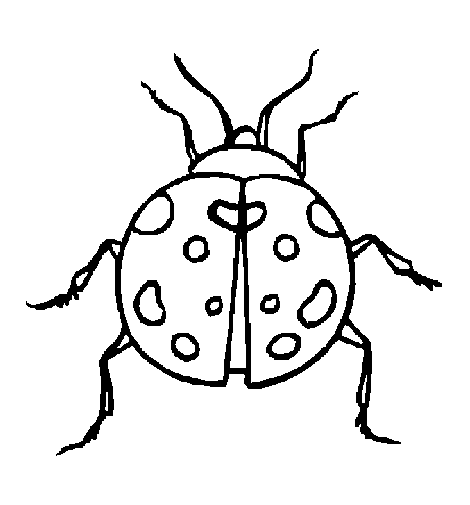 Coloring page: Bettle (Animals) #3465 - Free Printable Coloring Pages