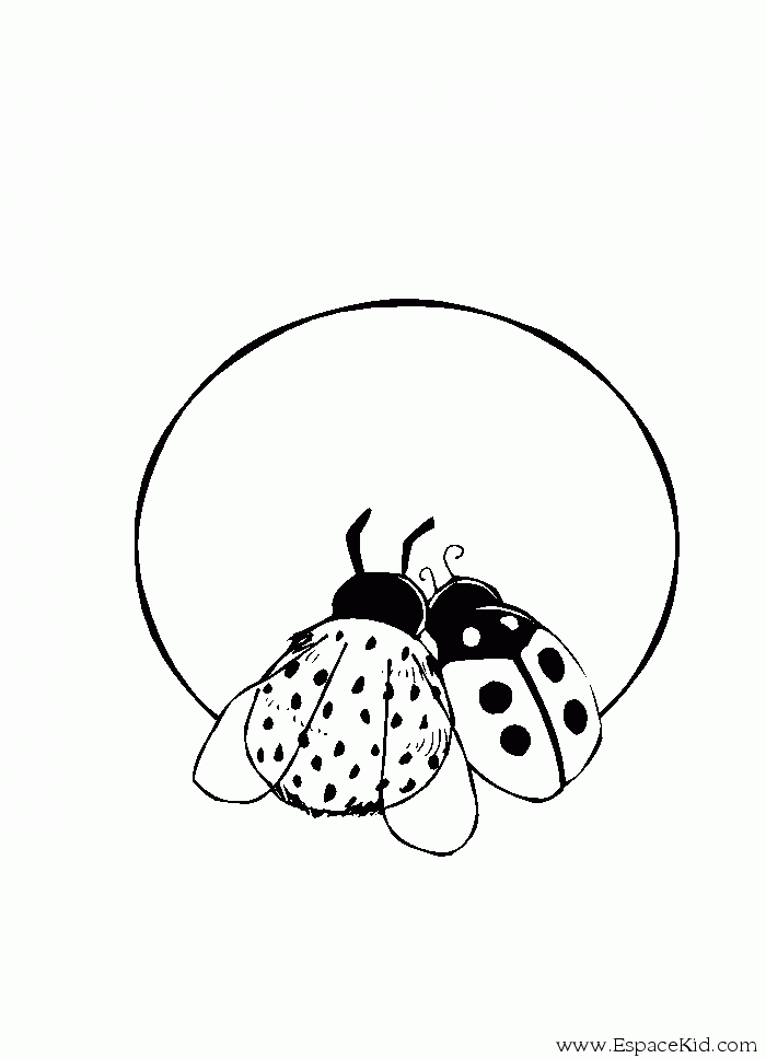 Coloring page: Bettle (Animals) #3469 - Printable coloring pages