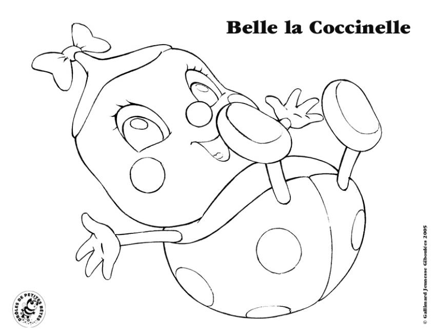 Coloring page: Bettle (Animals) #3470 - Free Printable Coloring Pages