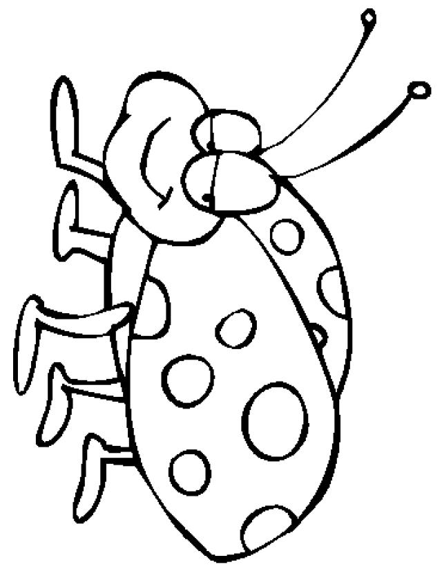Coloring page: Bettle (Animals) #3475 - Free Printable Coloring Pages