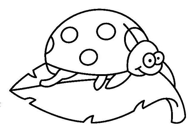 Coloring page: Bettle (Animals) #3493 - Printable coloring pages