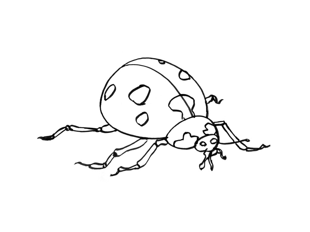 Coloring page: Bettle (Animals) #3497 - Printable coloring pages