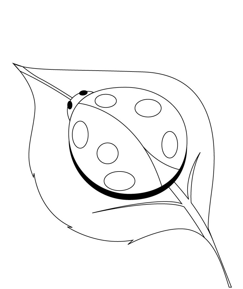 Coloring page: Bettle (Animals) #3525 - Printable coloring pages