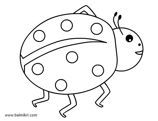 Coloring page: Bettle (Animals) #3555 - Free Printable Coloring Pages
