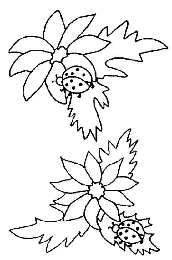 Coloring page: Bettle (Animals) #3581 - Printable coloring pages