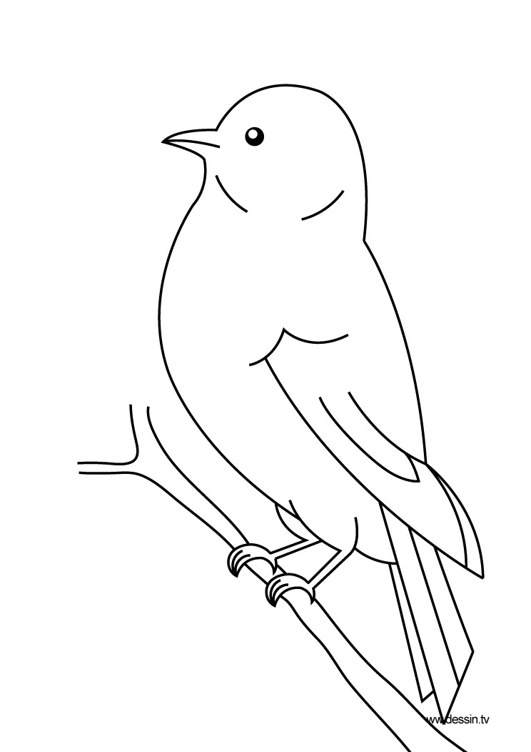 Coloring page: Birds (Animals) #11844 - Free Printable Coloring Pages
