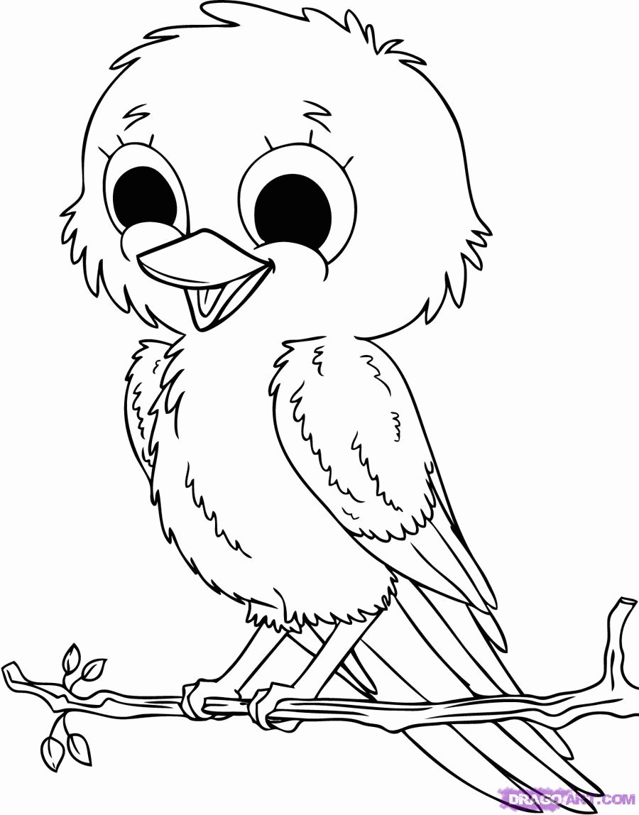 Drawing Birds #11849 (Animals) – Printable coloring pages