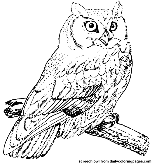 Coloring page: Birds (Animals) #11855 - Printable coloring pages