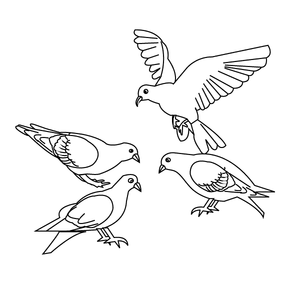 Coloring page: Birds (Animals) #11856 - Free Printable Coloring Pages