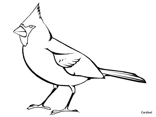 Coloring page: Birds (Animals) #11870 - Printable coloring pages