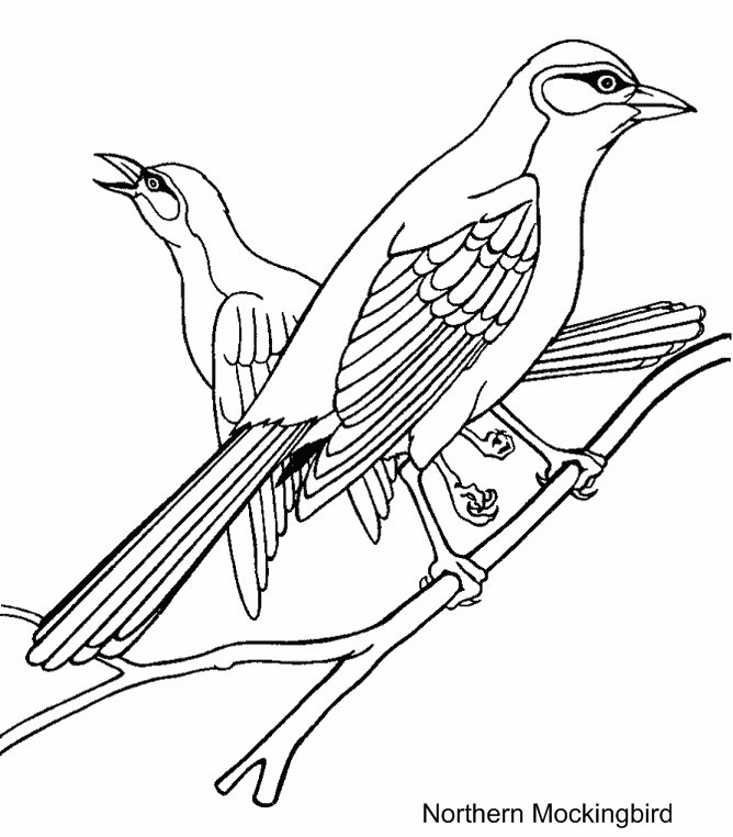 Coloring page: Birds (Animals) #11871 - Printable coloring pages
