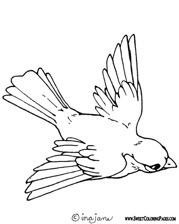 Coloring page: Birds (Animals) #11874 - Free Printable Coloring Pages