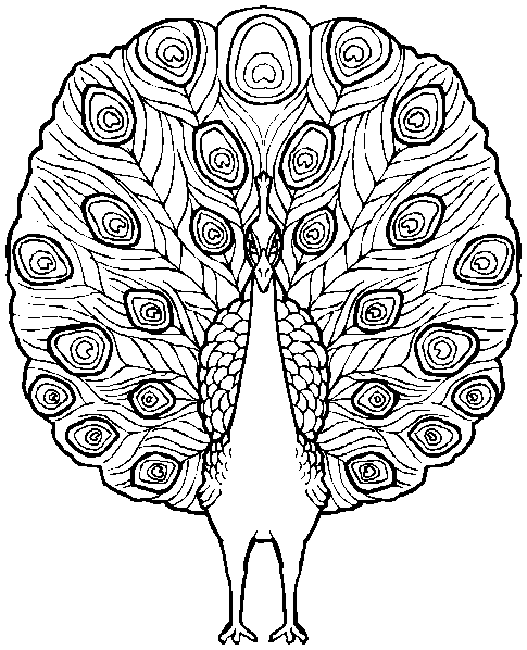 Coloring page: Birds (Animals) #11876 - Free Printable Coloring Pages