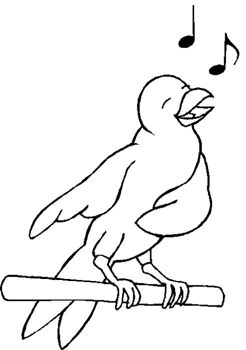 Coloring page: Birds (Animals) #11880 - Printable coloring pages