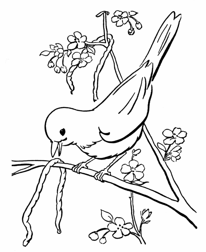Coloring page: Birds (Animals) #11885 - Free Printable Coloring Pages