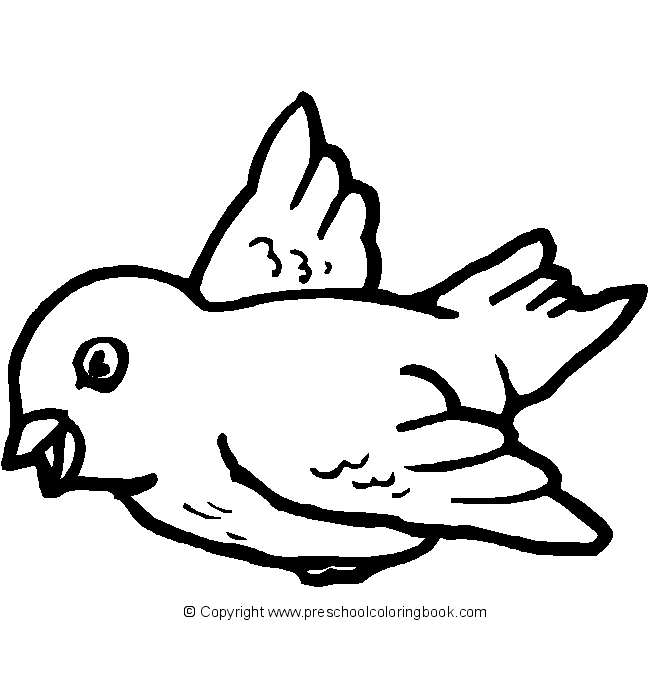 Coloring page: Birds (Animals) #11904 - Free Printable Coloring Pages
