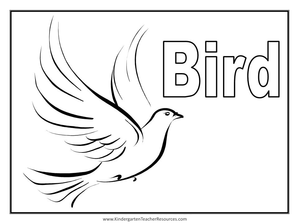 Coloring page: Birds (Animals) #11907 - Free Printable Coloring Pages