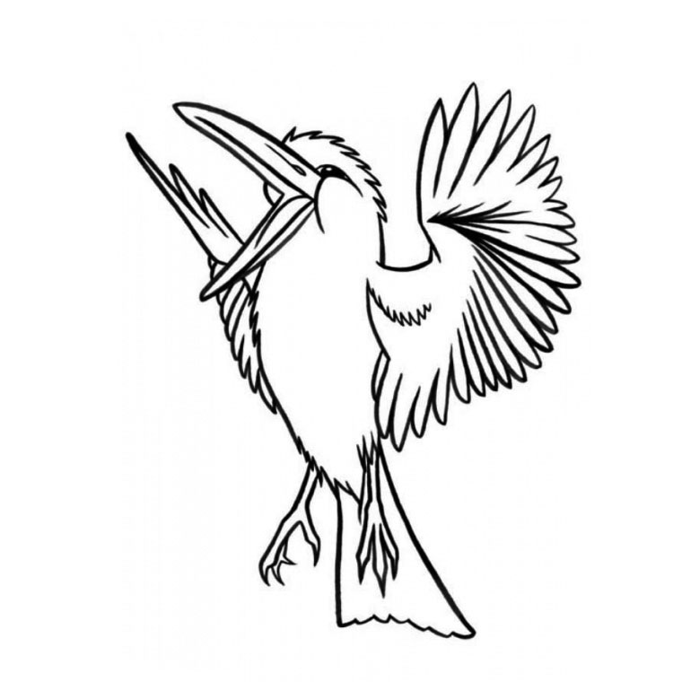 Coloring page: Birds (Animals) #11911 - Printable coloring pages