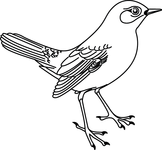Coloring page: Birds (Animals) #11913 - Printable coloring pages