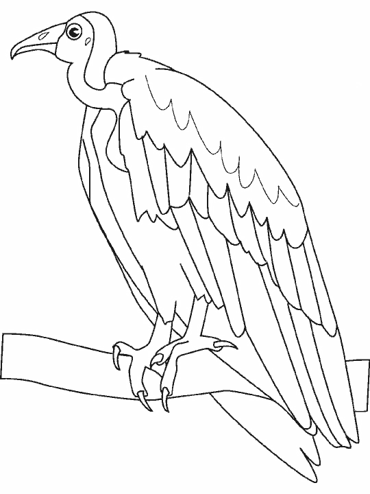 Coloring page: Birds (Animals) #11914 - Free Printable Coloring Pages
