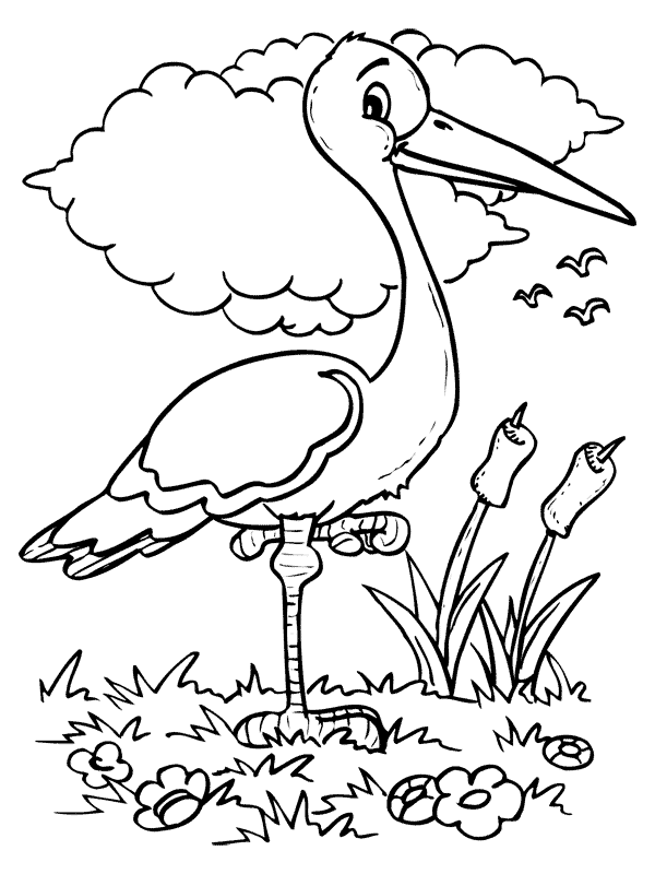 Coloring page: Birds (Animals) #11920 - Printable coloring pages