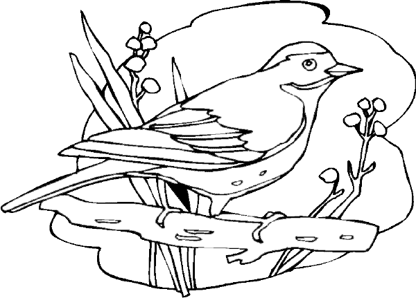 Coloring page: Birds (Animals) #11921 - Free Printable Coloring Pages