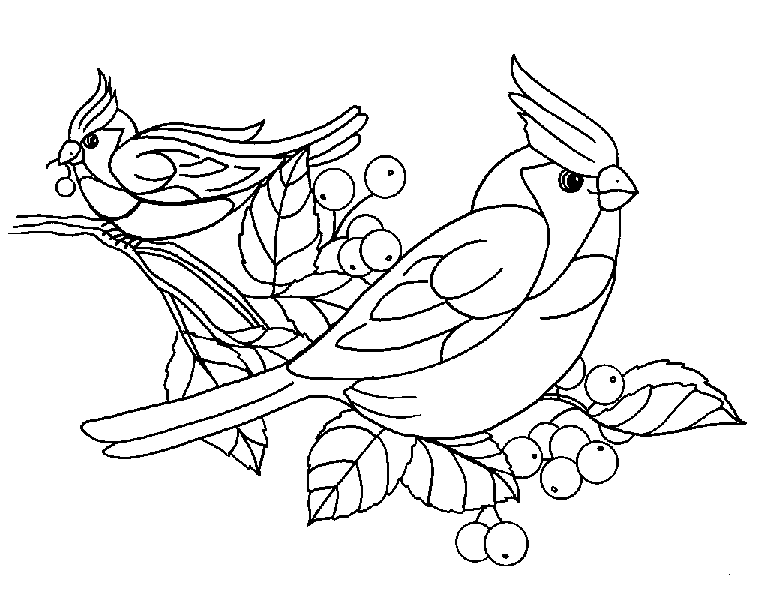 Drawing Birds #11926 (Animals) – Printable coloring pages