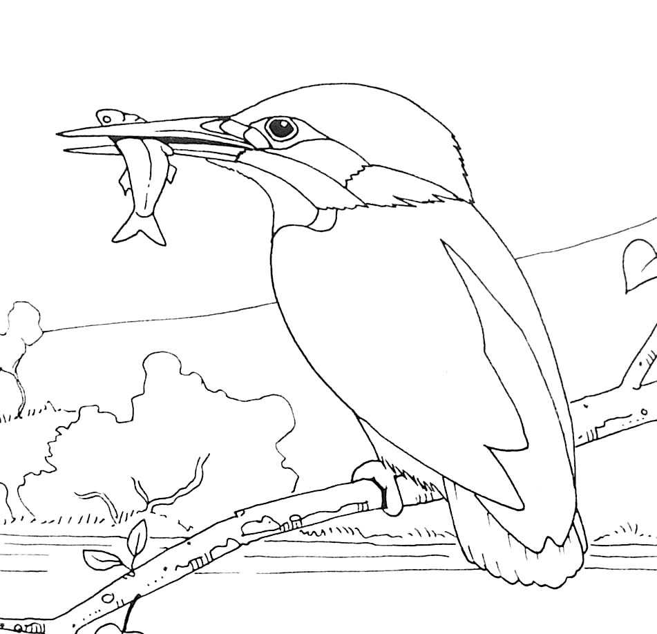 Coloring page: Birds (Animals) #11939 - Free Printable Coloring Pages