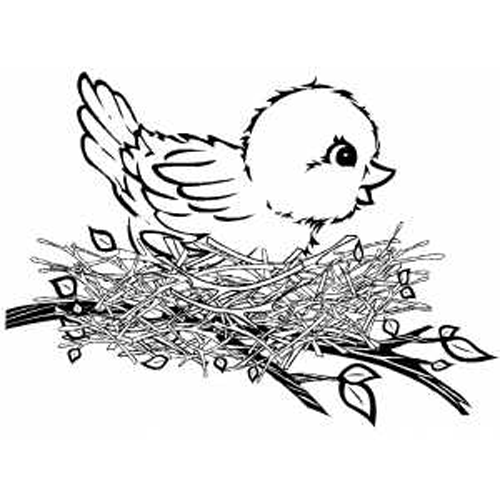 Coloring page: Birds (Animals) #11952 - Printable coloring pages